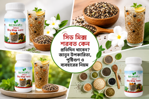 সিড মিক্স শরবত কেন প্রতিদিন খাবেন? জানুন উপকারিতা, পুষ্টিগুণ ও ব্যবহারের নিয়ম