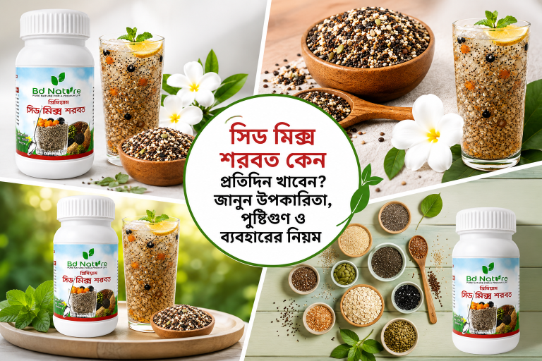 সিড মিক্স শরবত কেন প্রতিদিন খাবেন? জানুন উপকারিতা, পুষ্টিগুণ ও ব্যবহারের নিয়ম