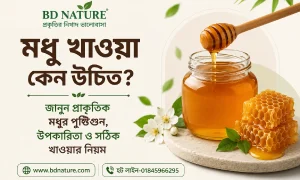 মধু খাওয়া কেন উচিত? জানুন প্রাকৃতিক মধুর পুষ্টিগুণ, উপকারিতা ও সঠিক খাওয়ার নিয়ম-