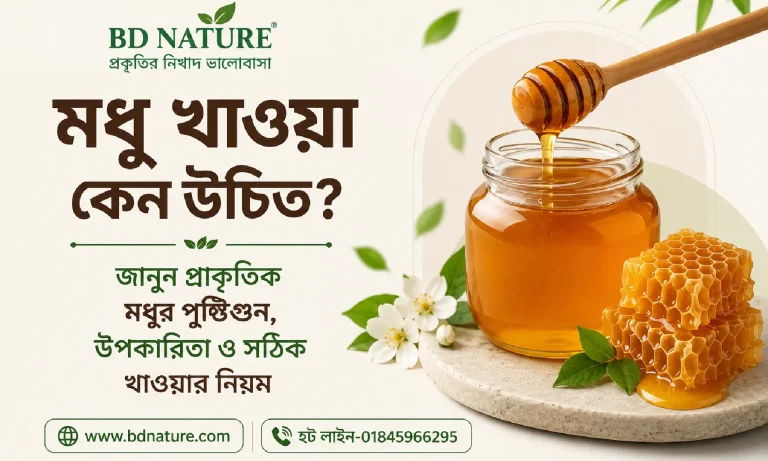 মধু খাওয়া কেন উচিত? জানুন প্রাকৃতিক মধুর পুষ্টিগুণ, উপকারিতা ও সঠিক খাওয়ার নিয়ম-